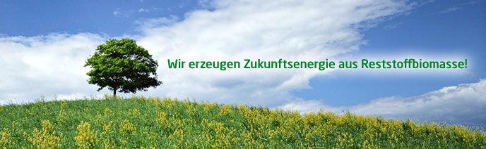 REW_Regenis2 REW_Regenis2