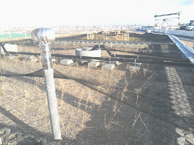 IMG_20181204_102658 IMG_20181204_102658